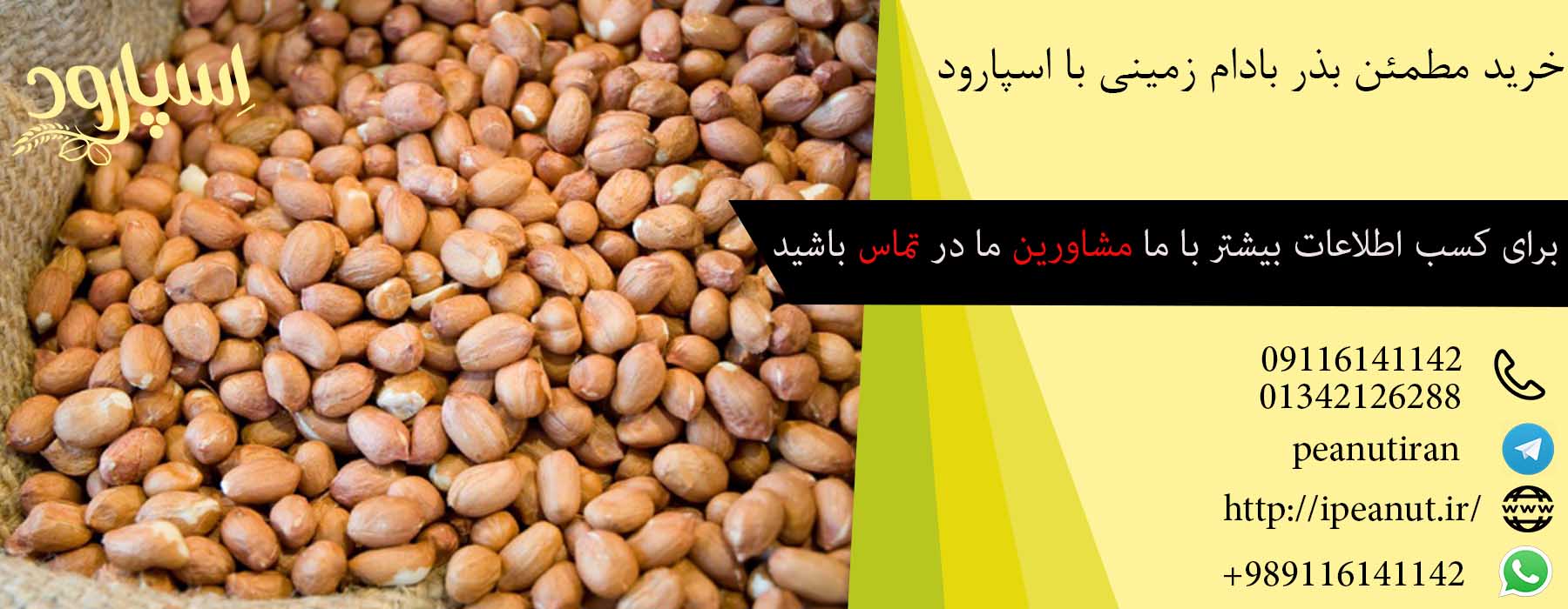 فروش بذر بادام زمینی در تهران